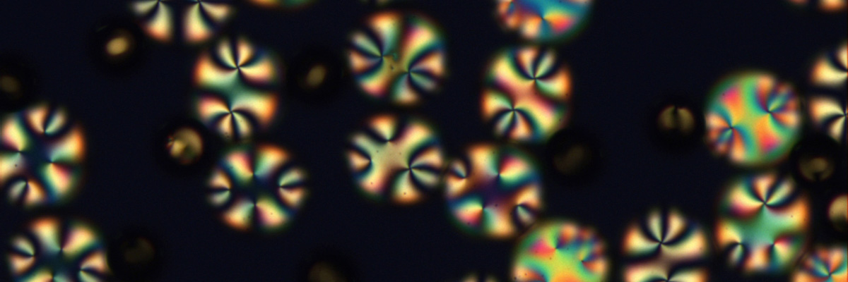 <multi>[fr]Coques de cristaux liquides nématiques [en]Nematic liquid crystal shells</multi>